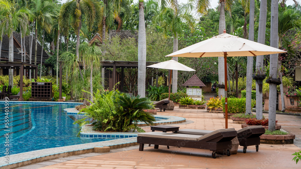 clean water swimming pool in the condominium roof top view, Garden in the hotel and pool , palm tree