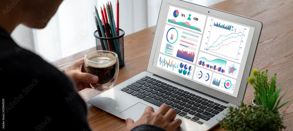 Business data dashboard provide modish business intelligence analytic for marketing strategy plannin