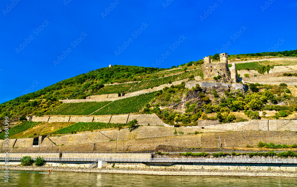 Ehrenfels Castle with vineyards in summer. The Rhine Gorge, UNESCO world heritage in Germany