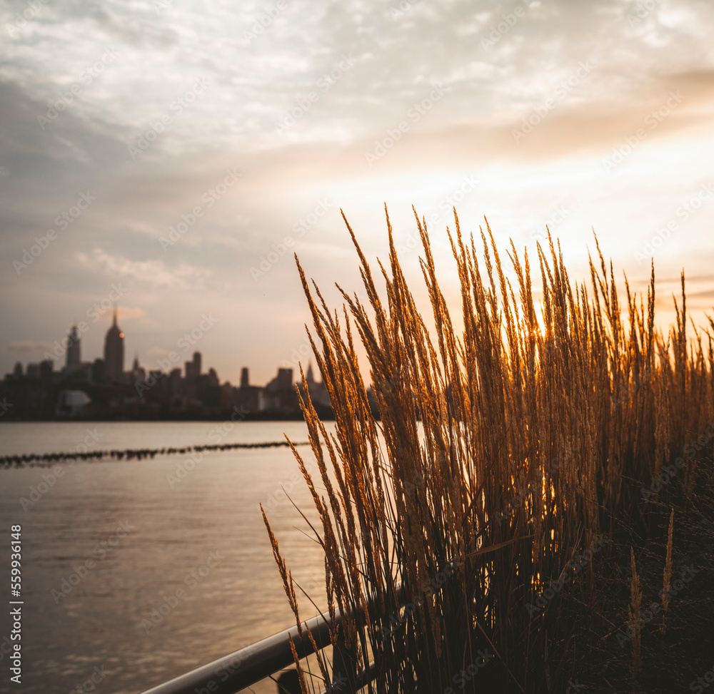 sunrise over the river New York City