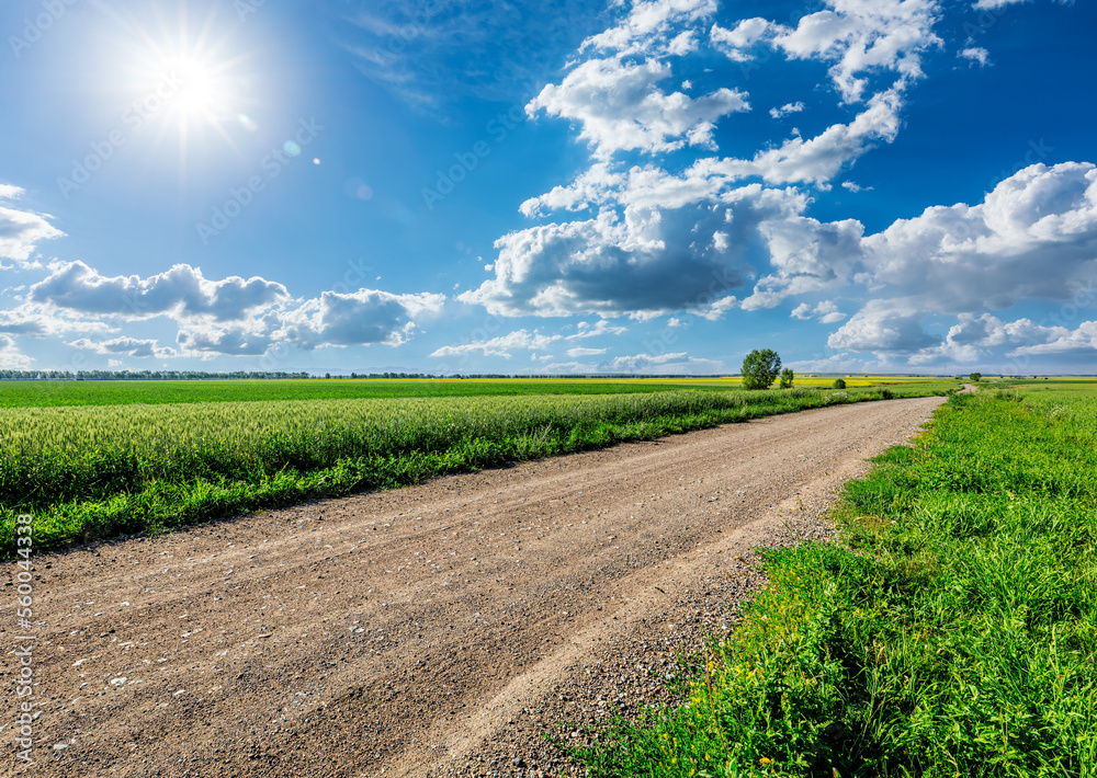 Country road and green wheat fields natural scenery on a sunny day