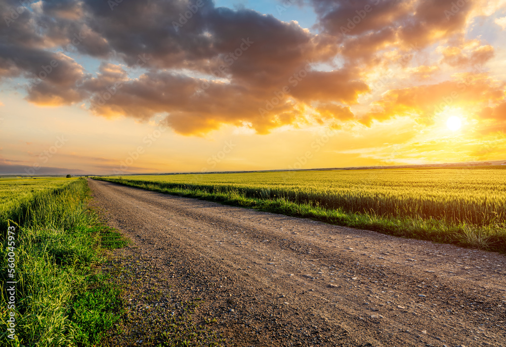 Country road and green wheat fields natural scenery at sunrise