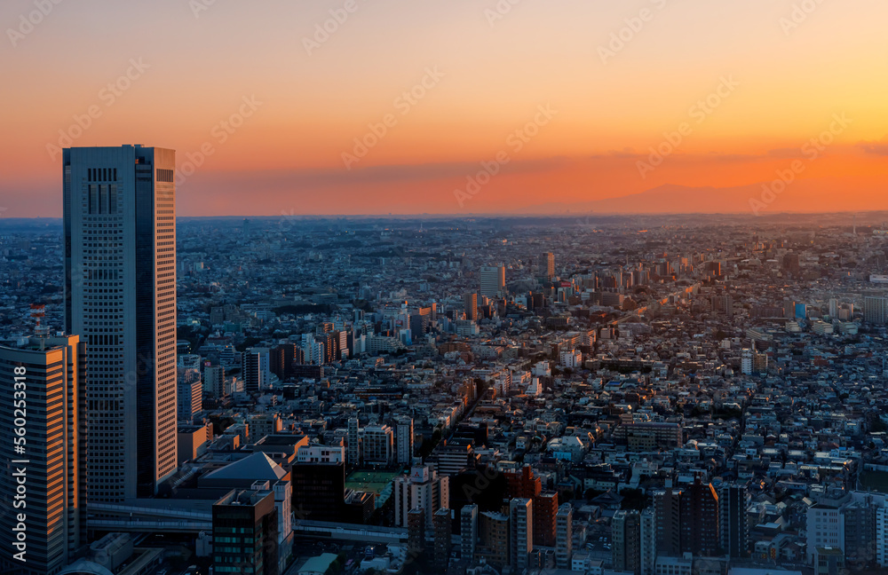 日落时分，摩天大楼耸立在日本东京西新宿的城市景观上