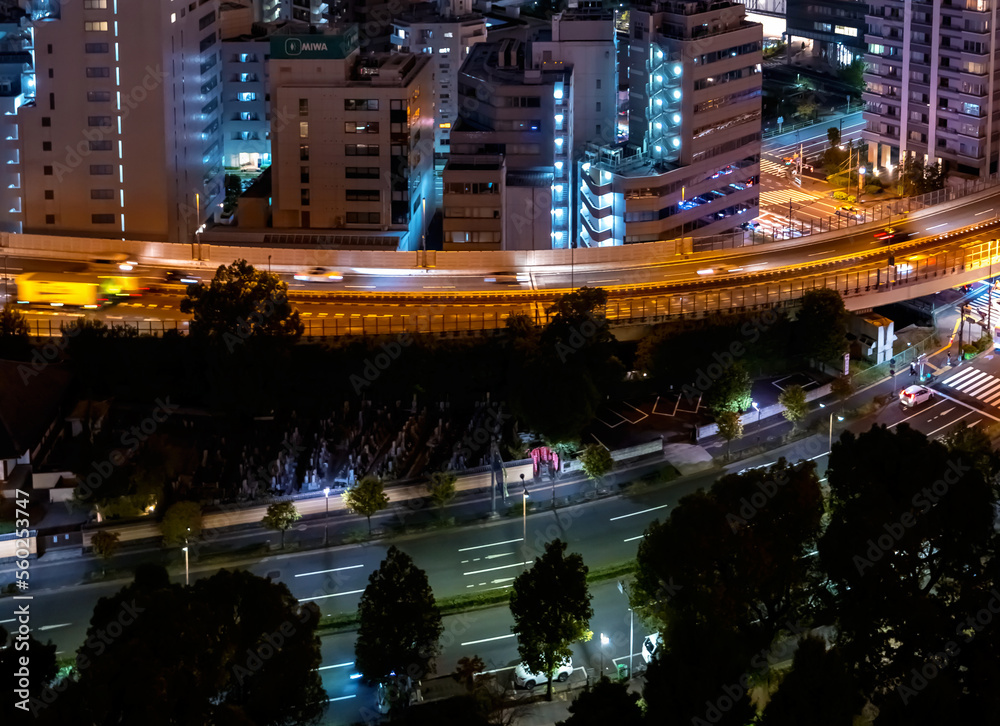 Skyscrapers and highways through Minato, Tokyo, Japan