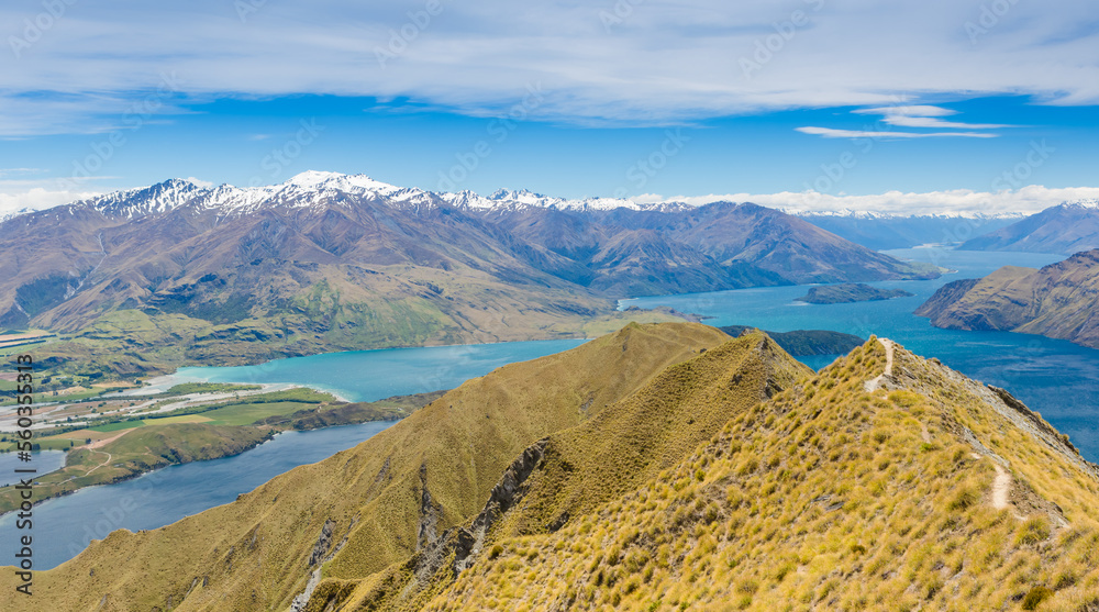 Lake wanaka and Mt Aspiring, new zealand