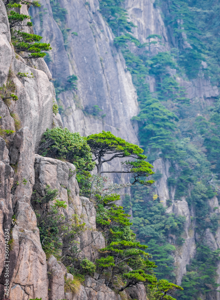 安徽省黄山风景区自然风光