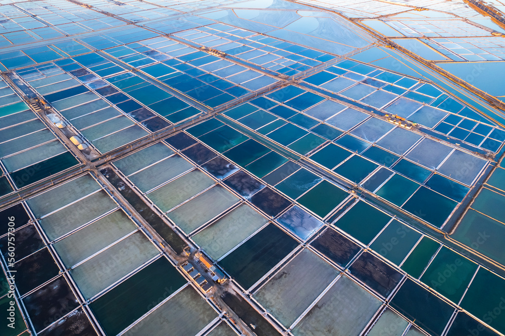 Winter landscape of tianjin Tanggu sunning salt farm