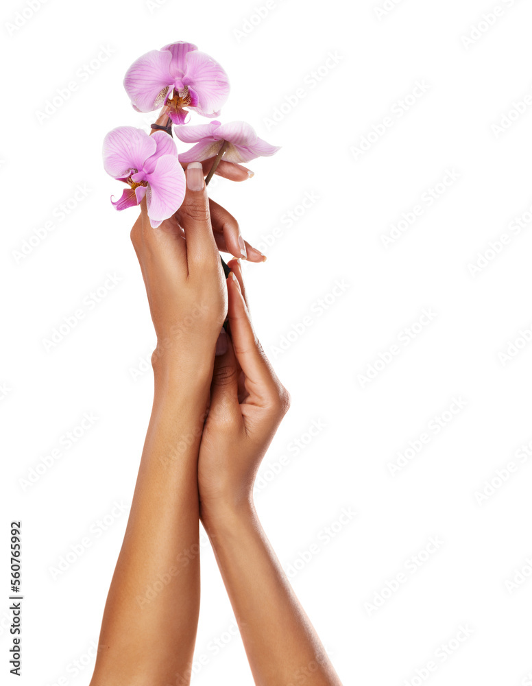 Flowers, orchid and woman hands with manicure nails after spa or beauty salon treatment on white bac