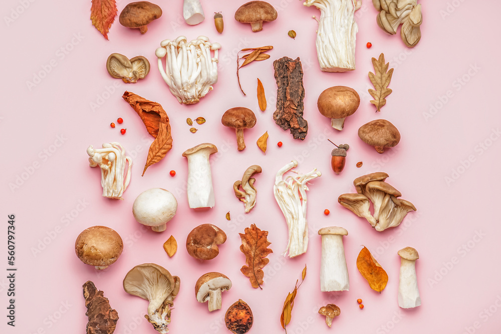 Composition with different mushrooms and forest decor on pink background