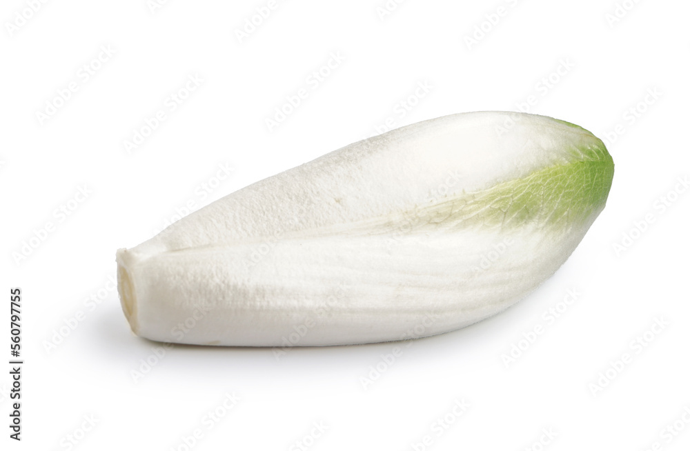 Bunch of fresh endive on white background