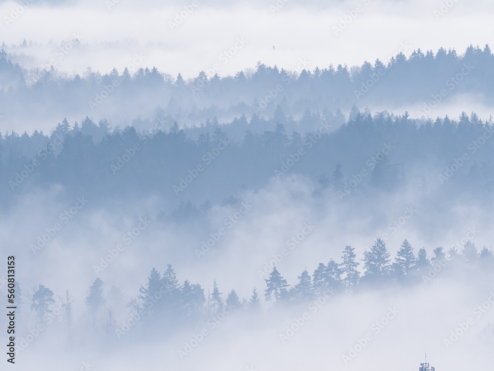 Silhouettes of forest treetops peeking through layers of mist in wintertime