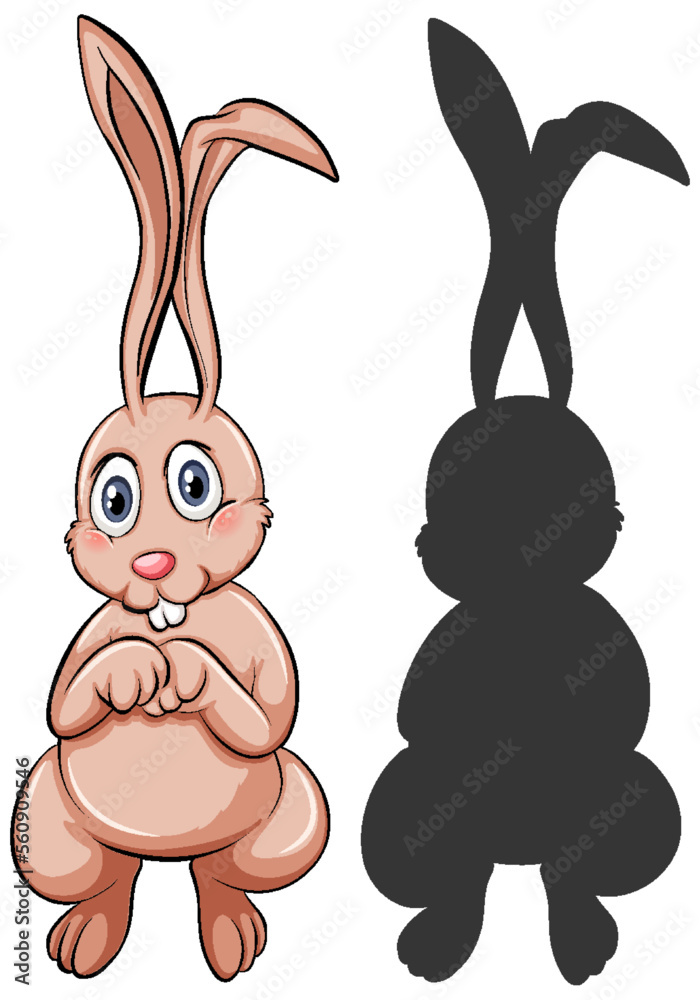 Cartoon rabbit with its silhouette