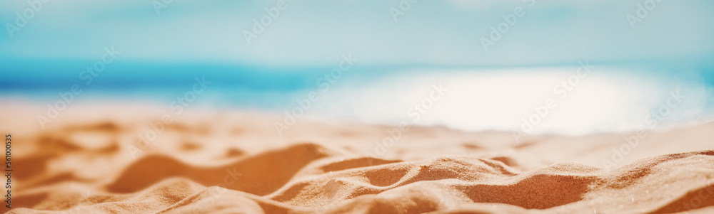 Panoramic view of the empty seashore in summer