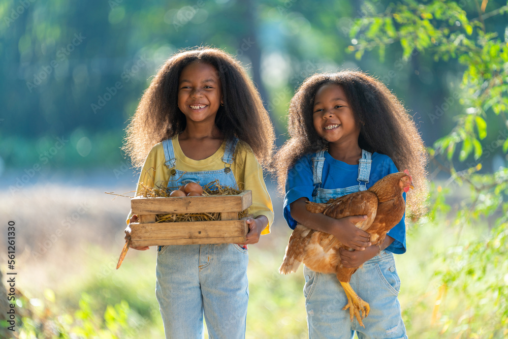 Two young black girls carrying chickens and holding eggs, rural happy lifestyle concept