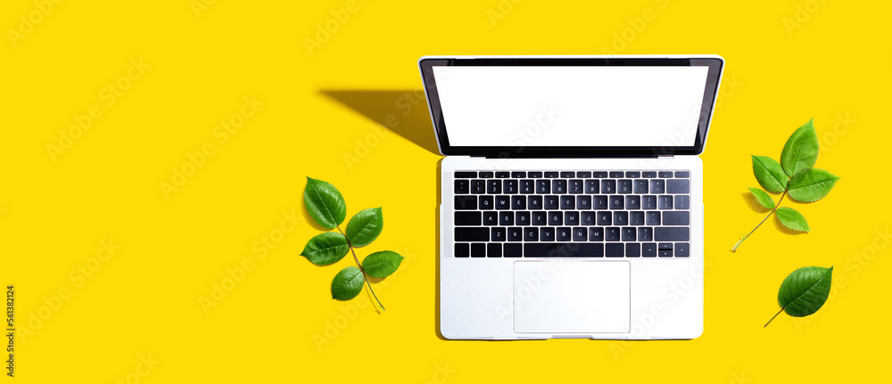 Laptop computer with green leaves - flat lay