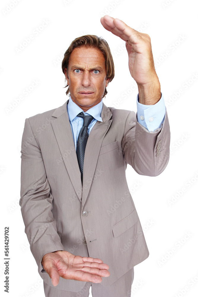 Portrait, hands and size with a business man in studio isolated on a white background for measuring.