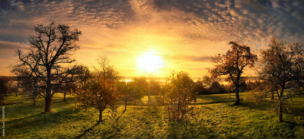 Golden sunrise with dramatic sky and color mood over rural landscape with trees on a meadow 