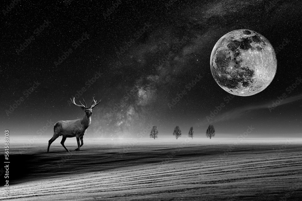 Deer in the snow on a winter field against the background of stars and a big moon