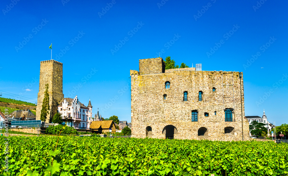 Boosenburg and Broemserburg Castles in Ruedesheim am Rhein in the Rhine Gorge, Germany