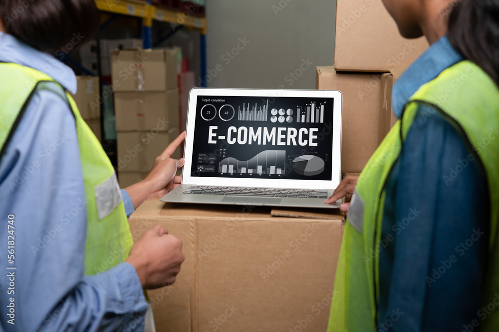 E-commerce data software provide modish dashboard for sale analysis to the online retail business