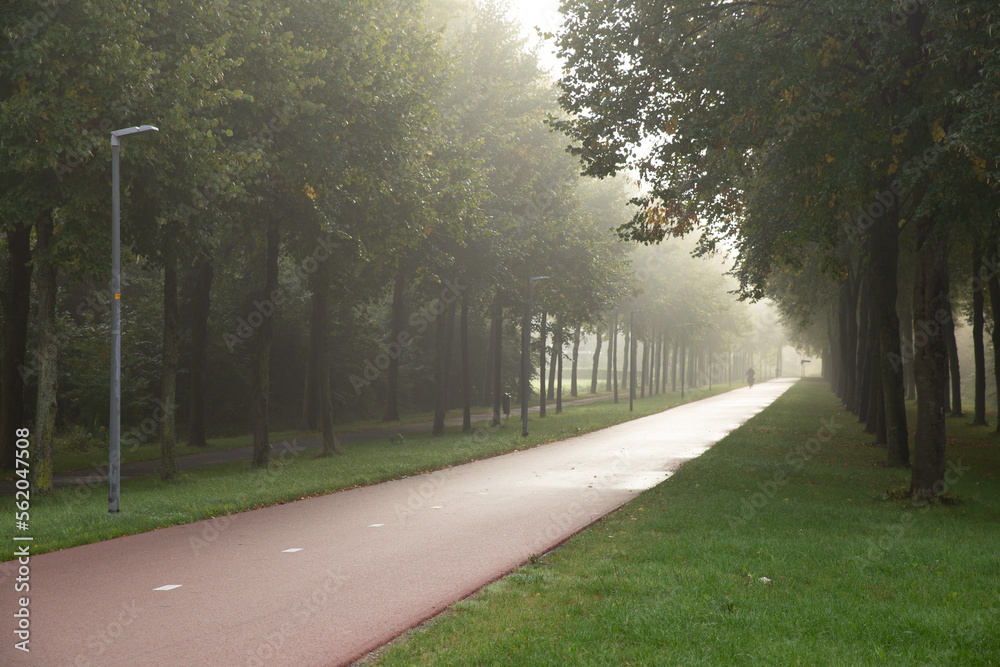 Concept of tranquil: A glimmer passing through beautiful morning fog in the forest, Almere Lumièrepa