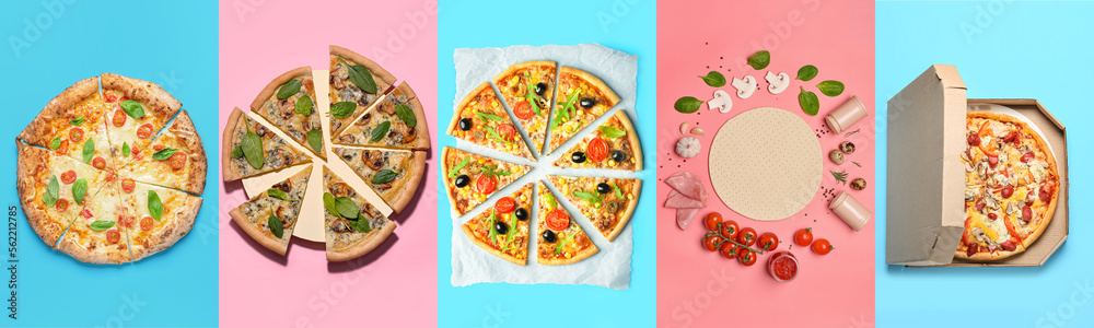 Collage with delicious pizzas and ingredients on color background