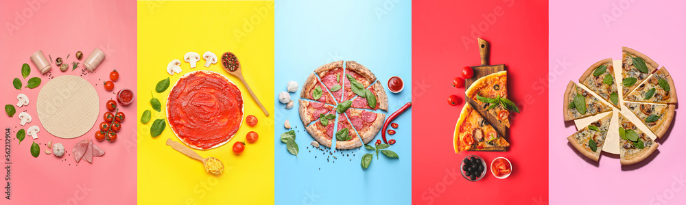 Collage with delicious pizzas and ingredients on color background