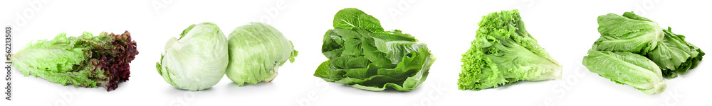 Collage of tasty green leaf salads on white background