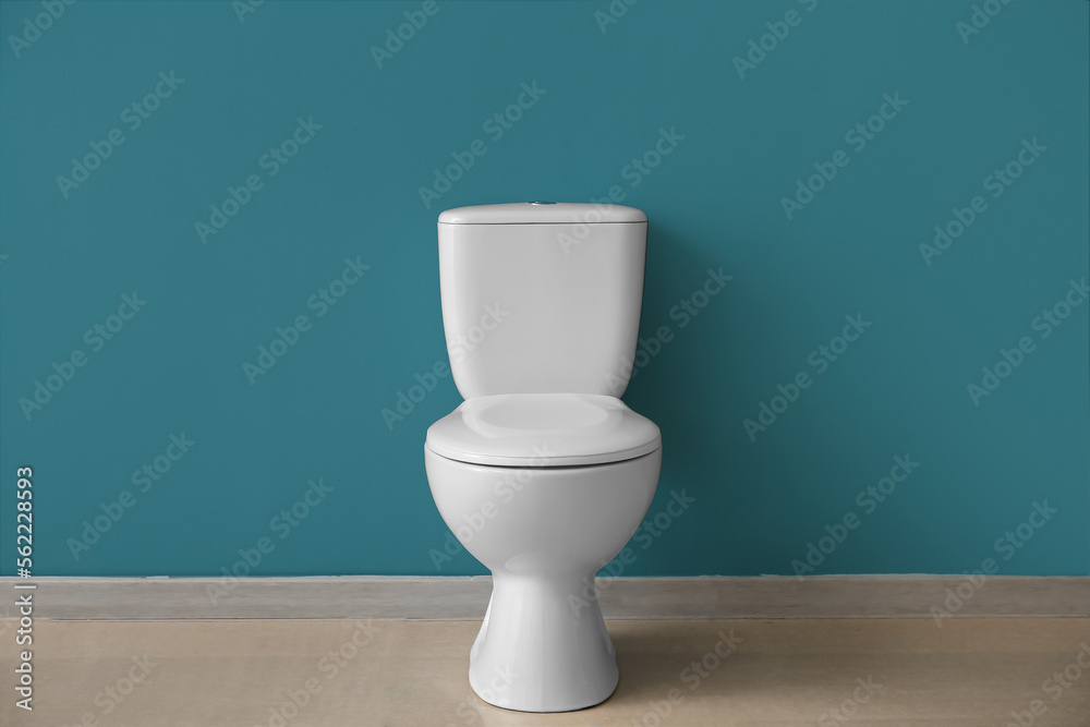 Ceramic toilet bowl near blue wall