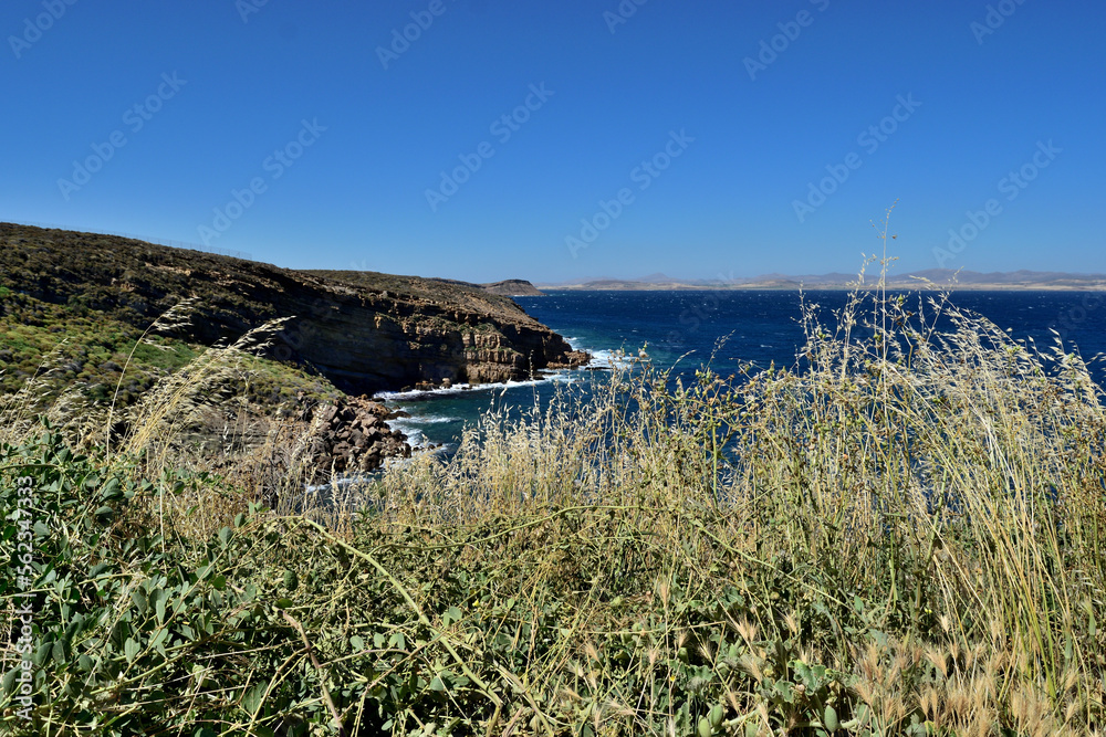 view of the coast