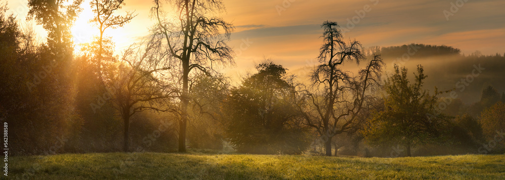 Misty panoramic rural landscape at sunrise, with warm moody colors and beams of sunlight illuminatin