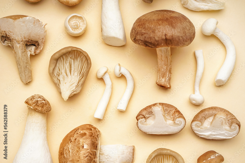 Composition with different fresh mushrooms on color background