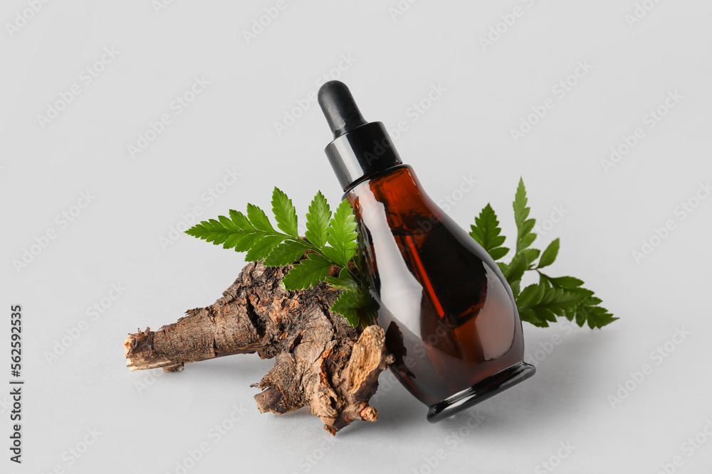 Composition with bottle of serum, fern leaves and tree branch on light background