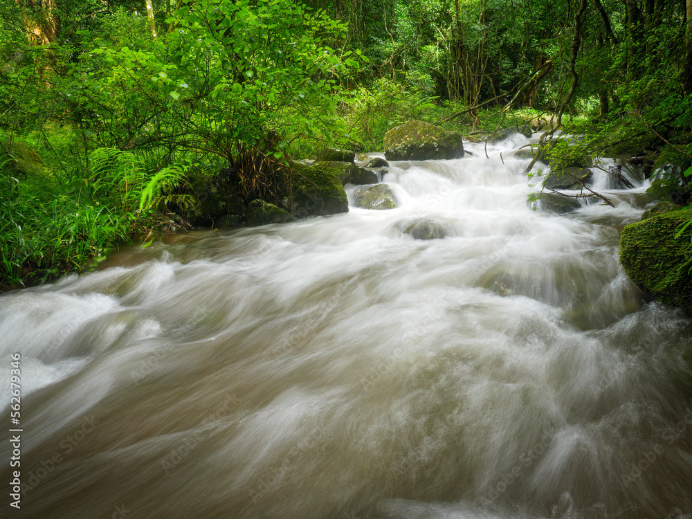 Cool forest river flowing rapidly over submerged rocks. Karkloof, Howick, KwaZulu Natal Midlands. So