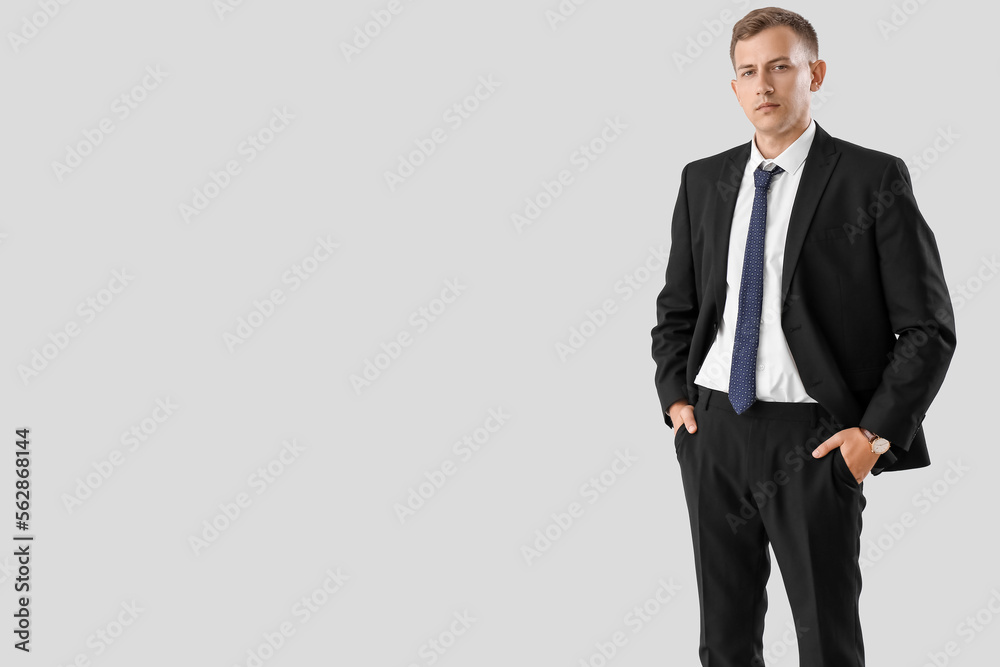 Handsome businessman in suit on light background