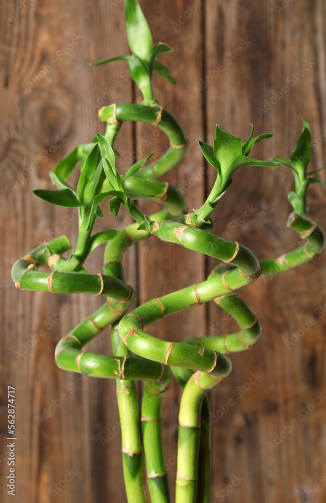 Bamboo stems on wooden background, closeup