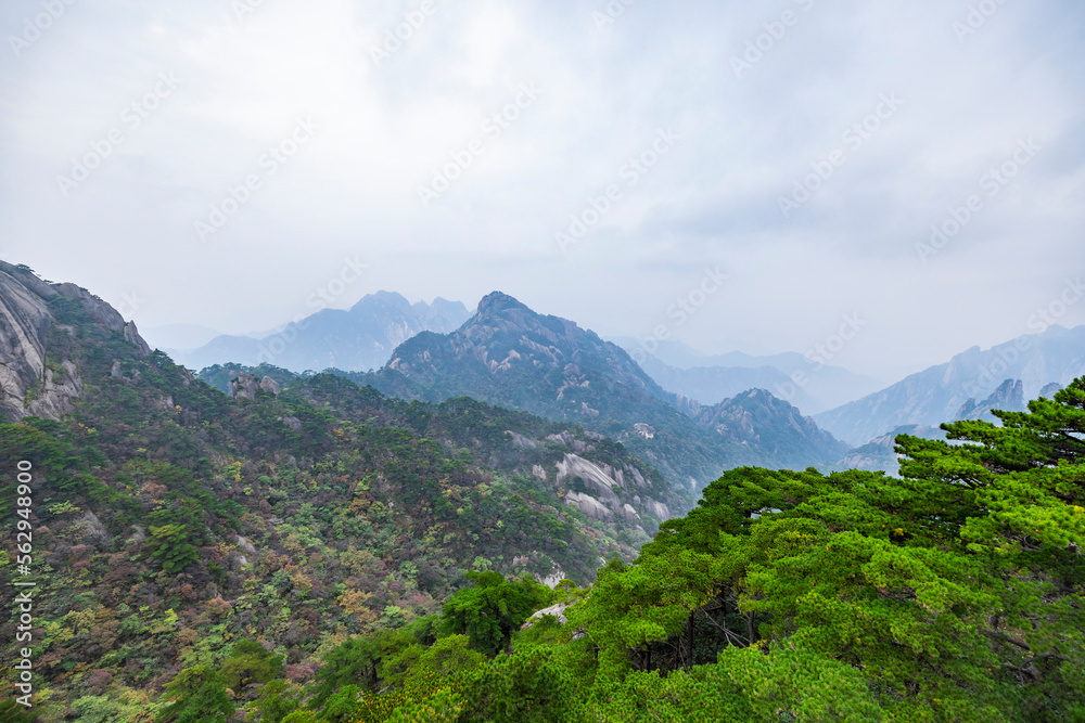 安徽省黄山风景区自然风光