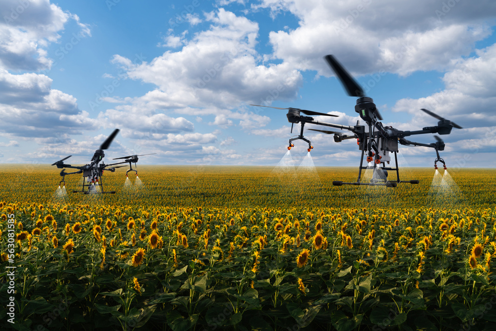 Drones sprayers flies over the agricultural field. Smart farming and precision agriculture