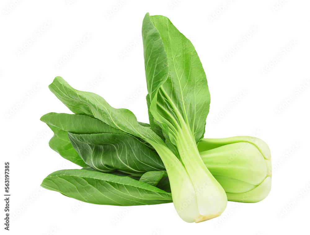 Bok choy (chinese cabbage) isolated on transparent background. PNG