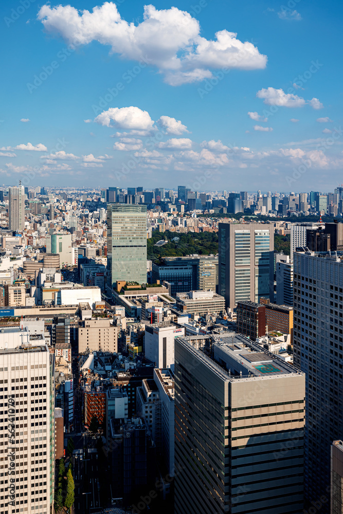 日本东京新宿的摩天大楼