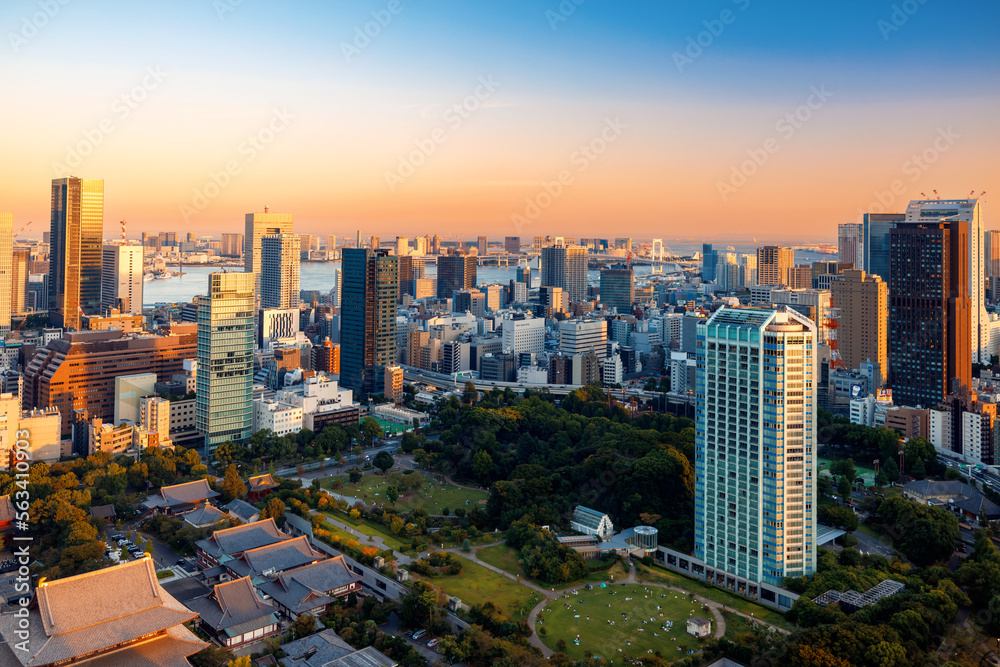 The skyline and cityscape at sunset in Tokyo, Japan