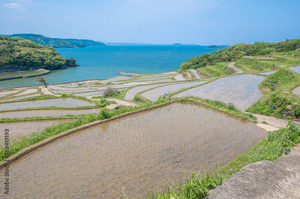 水が張られた土谷棚田