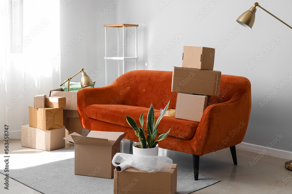 Cardboard boxes with red sofa in living room on moving day