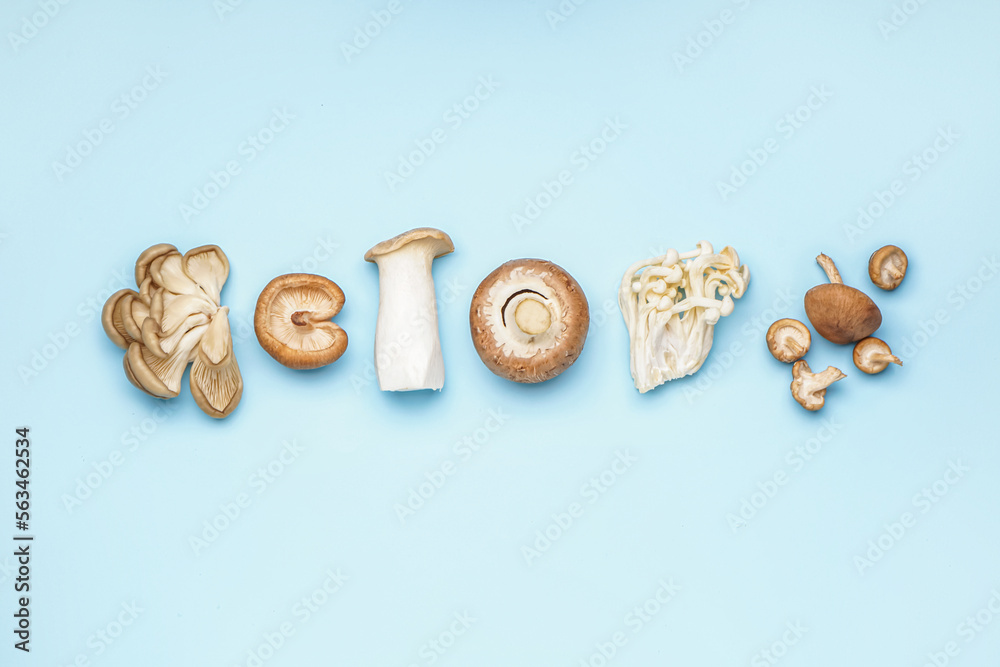 Set of different mushrooms on color background