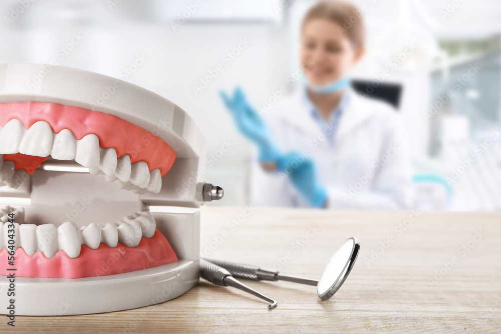 Jaw model with dentists tools on table in clinic, closeup