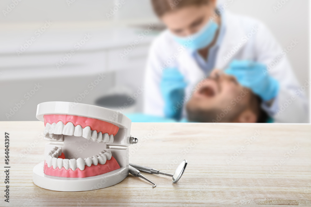 Jaw model with dentists tools on table in clinic