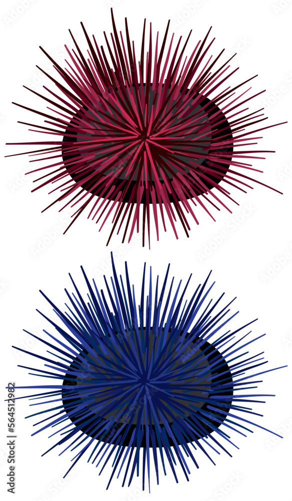 Sea urchin cartoon isolated