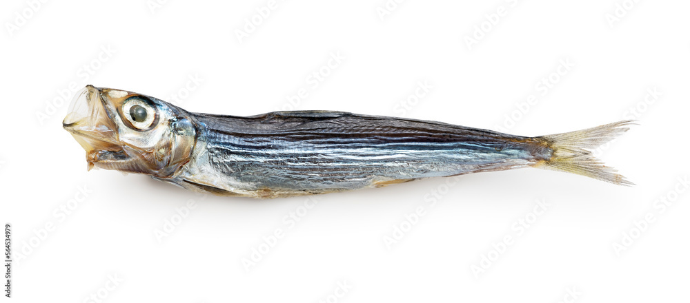 A umewashi (Japanese sardine) placed on a white background.