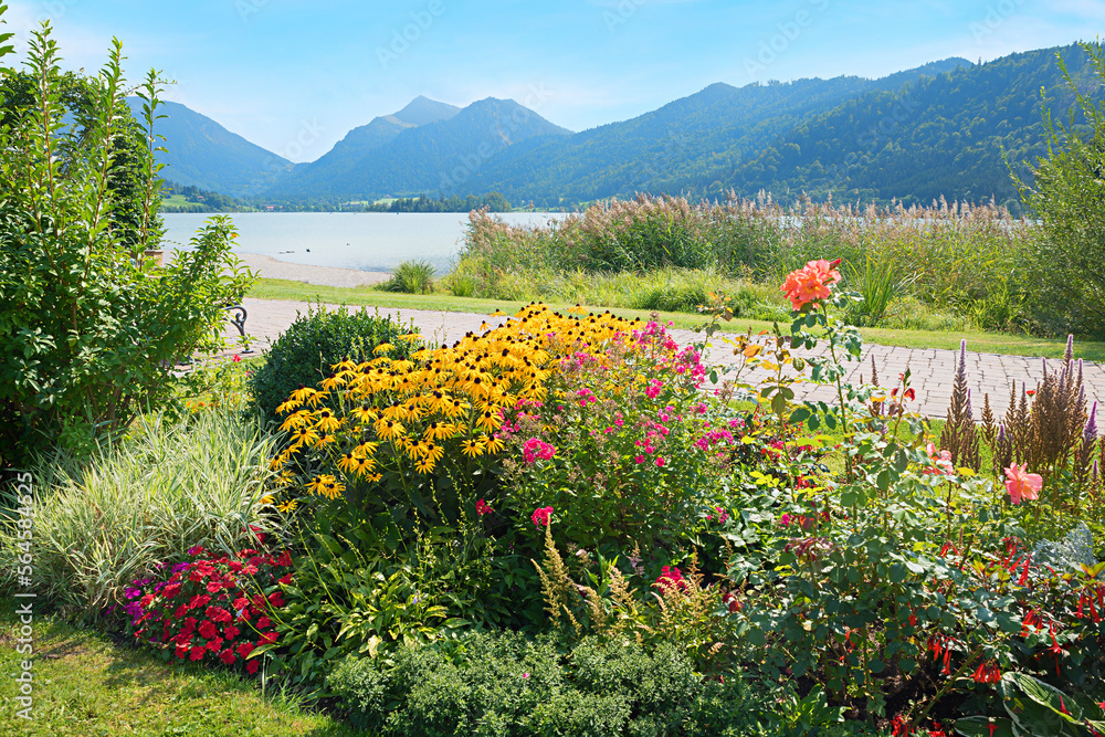 beautiful spa garden with autumnal flowers, lakeside schliersee upper bavaria