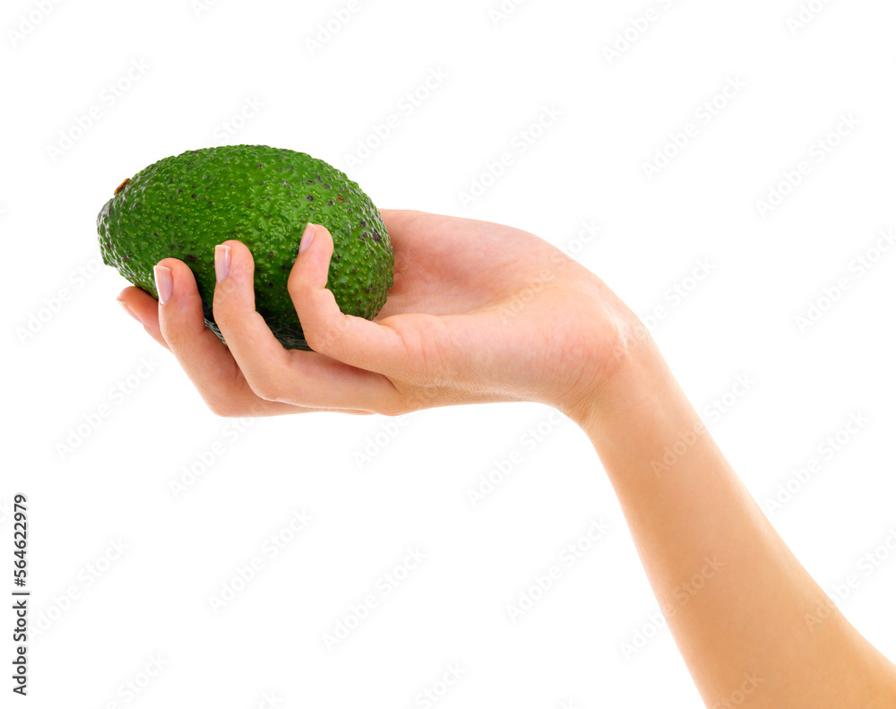 PNG Cropped view of a womans hand holding an avocado